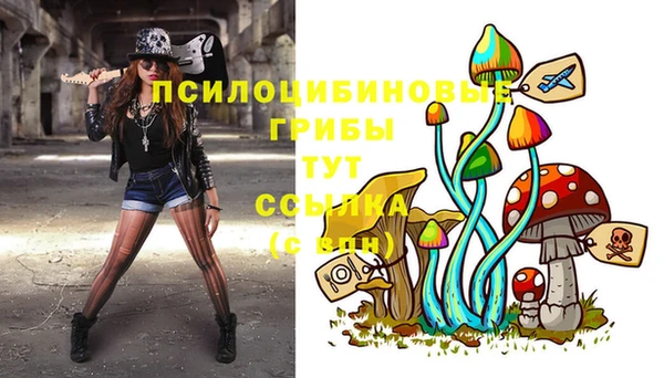 стаф Абдулино