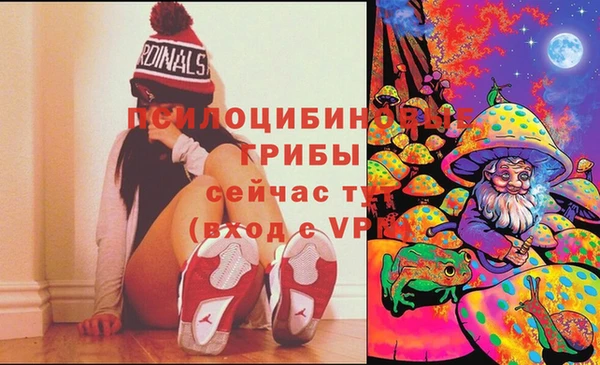 стаф Абдулино