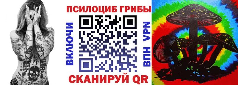 Галлюциногенные грибы Psilocybine cubensis  Нальчик 