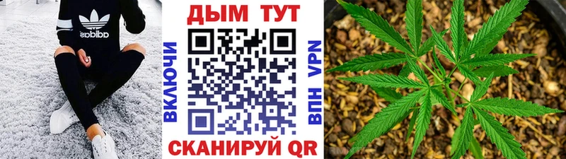 Бошки Шишки Ganja  Нальчик 